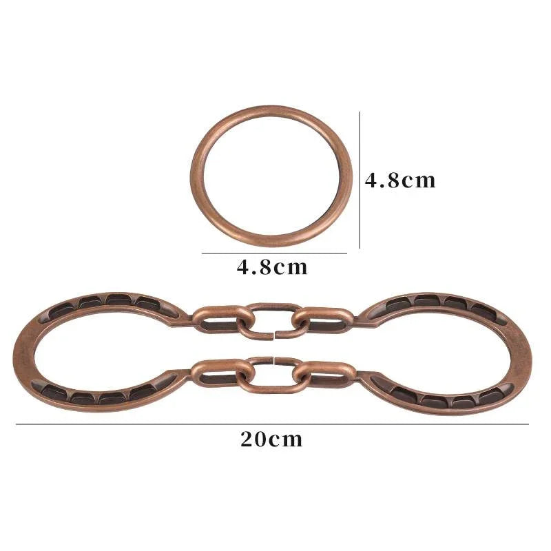 Horseshoe Lock Metal Puzzle